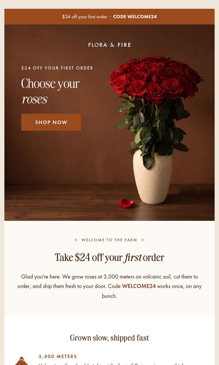 Flora & Fire welcome email: $24 off your first order, with a photo of red roses in a cream vase
